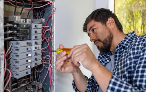 Best Electric Panel Repair  in South Sumter, SC